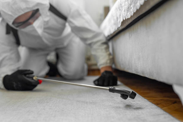 Professional Pest Control technician working in Highland, CA