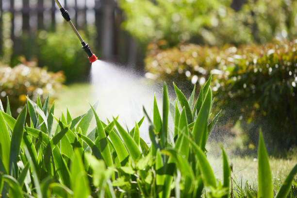 24/7 Emergency Pest Control experts in Highland, CA