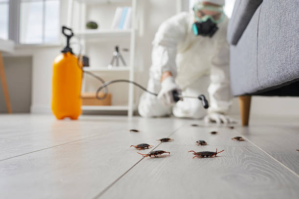 Affordable Pest Control solutions in Highland, CA